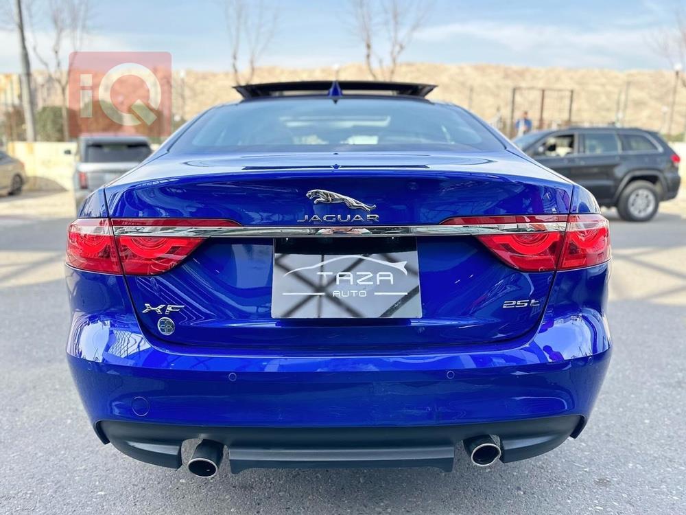 جاكوار XF